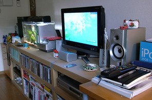 社会人1年目に住んでた部屋