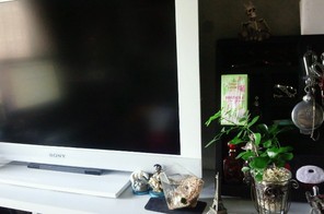 テレビ周り