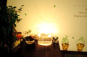 植物とフローティングキャンドル