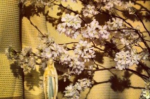 聖母と桜