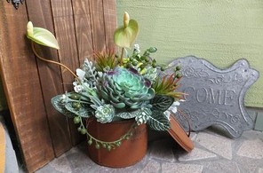 多肉植物がある玄関