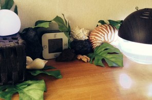 棚の上