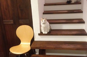 整列(*`・ω・)ゝ