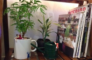 草②