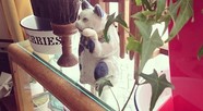 明治期、招き猫