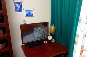 机の周り