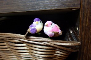 籠の隅に、2羽