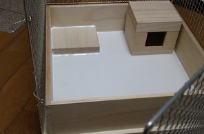 ラット用のケージを自作してみた
