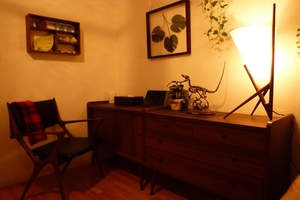 恐竜の居る部屋＋