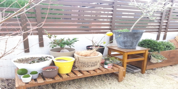 DIY！花台&リンゴの木箱の再利用！